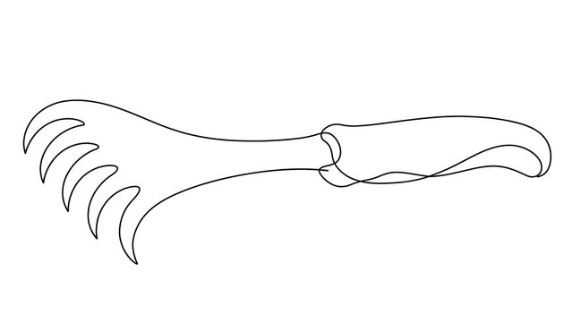 Back scratcher tool white background.