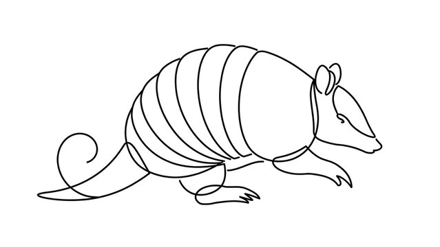 Armadillo illustration on white background.