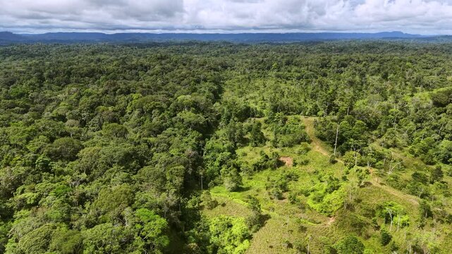 Flying over a huge  cleaning cut from Amazonian rainforest for cattle ranching  with untouched primary forrest surrounding it.  In Napo province, Ecuador.