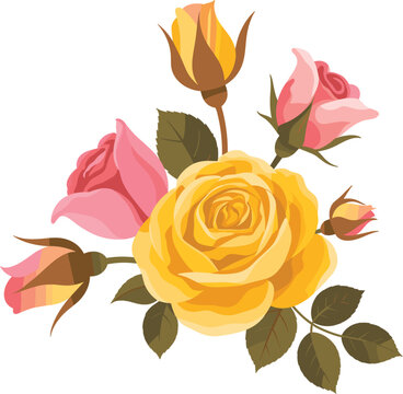 Beautiful bouquet of pink and yellow roses vector illustration with blooming flowers, buds, and green leaves