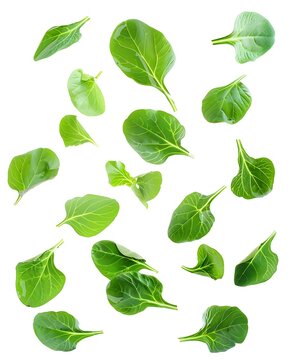 floating mustard greens leaves isolated on white background