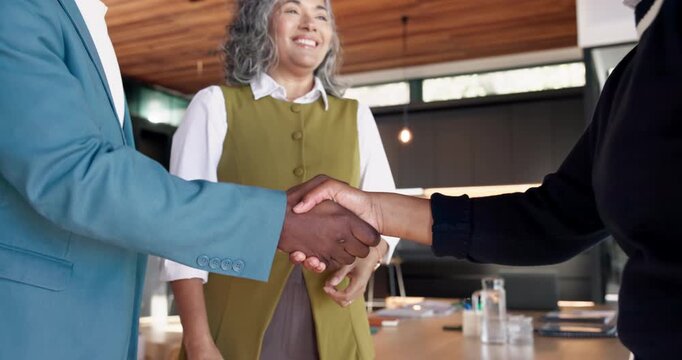Real estate, greeting or people in house with handshake, hello or welcome in sale consultation. Happy, client or broker with shaking hands, property exchange or introduction in investment negotiation
