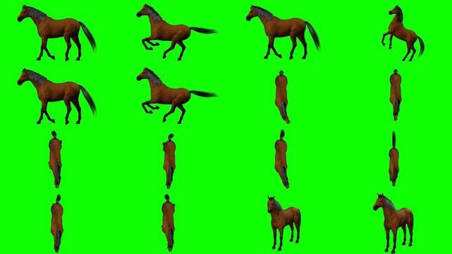 Dynamic 3D brown horse galloping fast at high speed in full stride isolated on green screen chroma key background for action movie scenes, equestrian game assets, and cinematic VFX compositing.