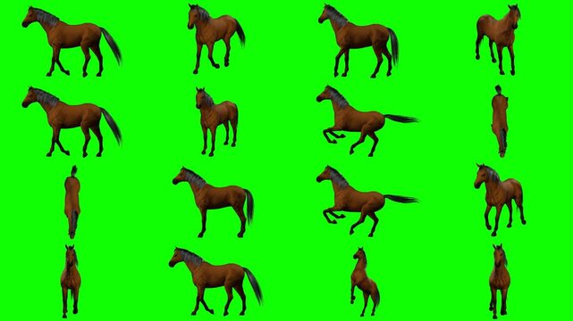 Elegant 3D brown horse trotting and cantering rhythmically isolated on green screen chroma key background for equestrian sports clips, fantasy adventure filmmaking and game engine integration.