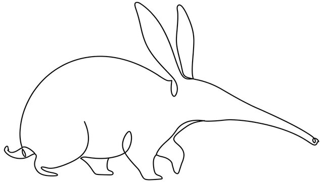 Cartoon Aardvark Animal white background.