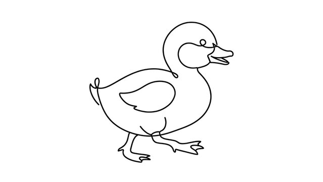 Cartoon duck white background.