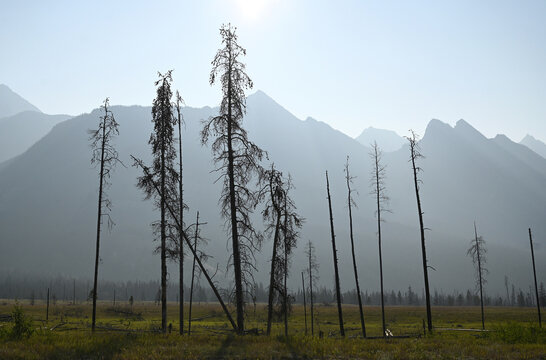Landscape of Canada with Mountains. Jasper National Park, Alberta, Canada.