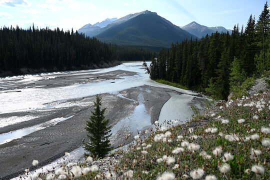 Landscape of Canada with river and Mountains. Jasper National Park, Alberta, Canada.
