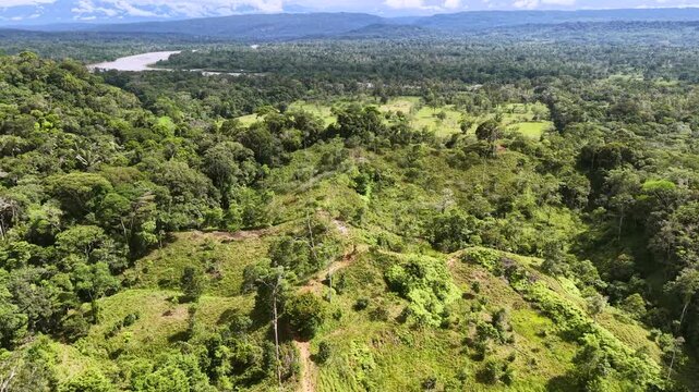 Flying over a huge  cleaning cut from Amazonian rainforest for cattle ranching  with untouched primary forrest surrounding it.  In Napo province, Ecuador.