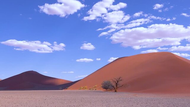 Stunning time lapse footage of clouds moving over sand dunes and dry acacia tree in Sossusvlei Namibia desert.