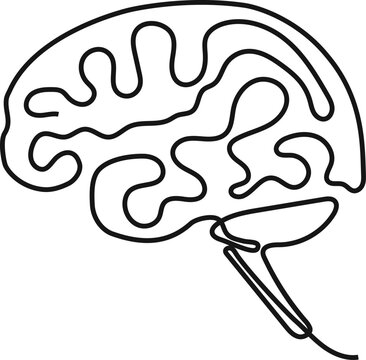 Human brain drawing showing abstract ideas, thinking, and intelligence