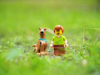 Obraz premium Indonesia - April 23, 2023 : Mini toy of action figure at grassland with blurred background. Miniature photography concept. Scooby Doo and Shaggy Rogers character at outdoor conceptual design.