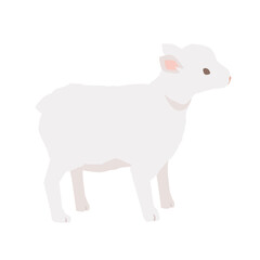Obraz premium 子羊のイラスト