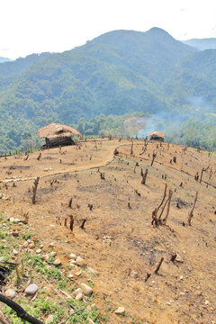 A view of the hills of Nagaland&mdash;home to the Konyak tribe&mdash;featuring forest burned for cultivation.