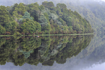 Fototapeta premium Reflections on Pieman River, Corinna, Tarkine, Tasmania, Australia