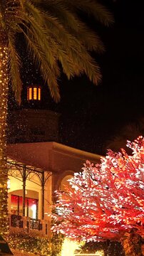 Festive palm trees and glowing holiday lights in West Palm Beach