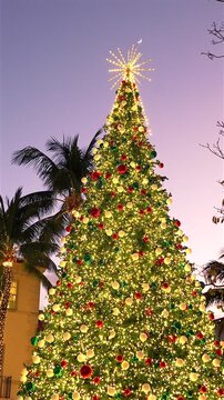 Glowing Christmas tree with ornaments and palm trees at dusk in West Palm Beach