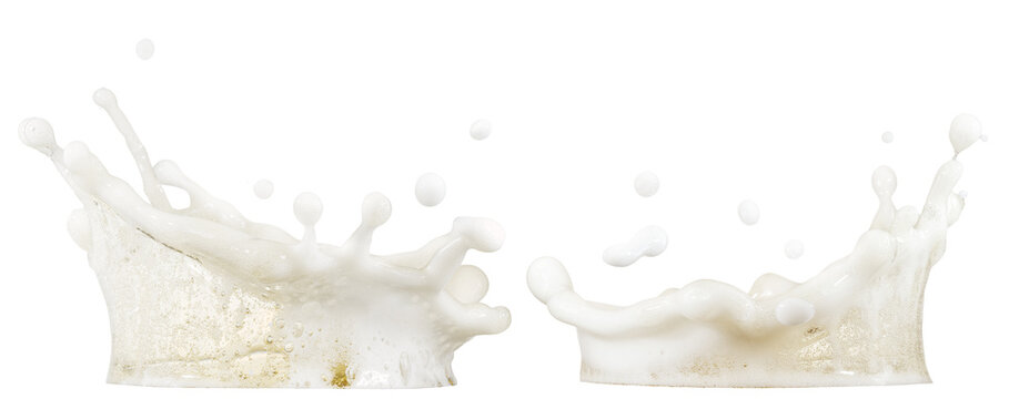 Two beer foam splashes (crown) with bubbles isolated on a white background.