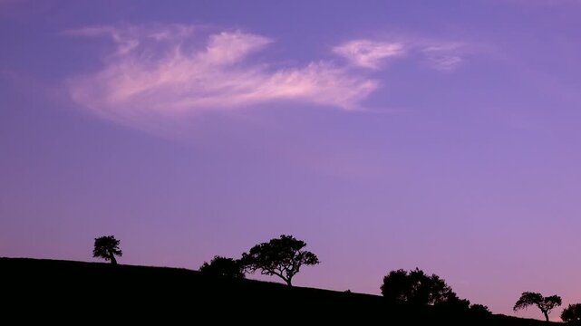 Serene purple sky with wispy clouds above silhouetted trees on rolling hills at dusk.