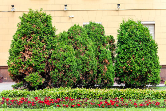 Bright green lawn with lush trees near modern building, beautiful landscape, park grounds with fresh grass and foliage.