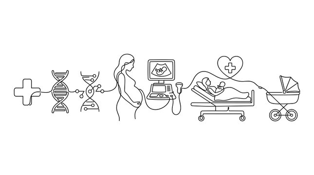 Medical lineage a conceptual flow from DNA to birth and family planning
