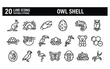 Fototapeta premium Owl shell line icon set featuring wildlife animals and natural elements for outdoor educational materials.