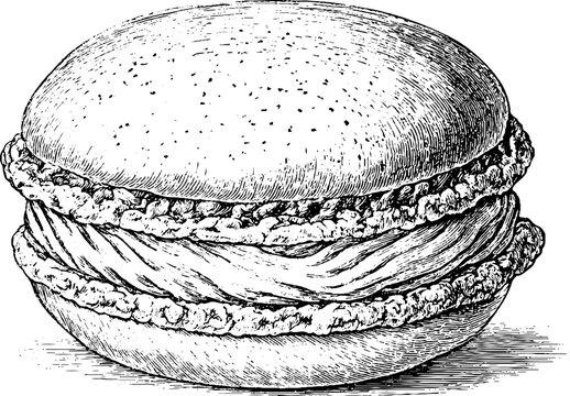Vintage engraved chocolate macaron drawing isolated on white for dessert packaging and bakery label design