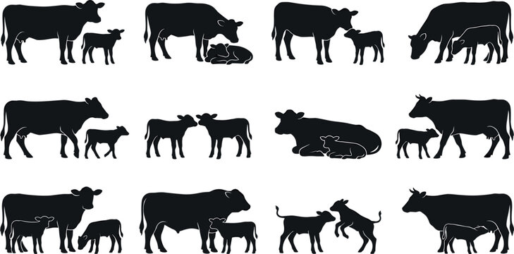 Farm cow and newborn calf silhouette vector icon set bundle featuring maternal cattle livestock elements