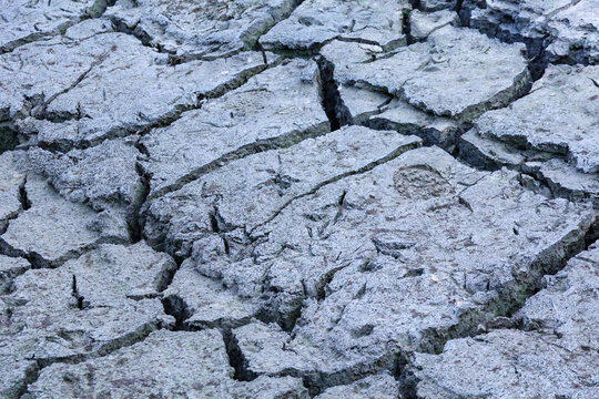 Dry mud crack pattern
