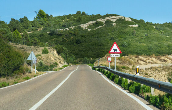Road sign cow crossing hill rural scenery