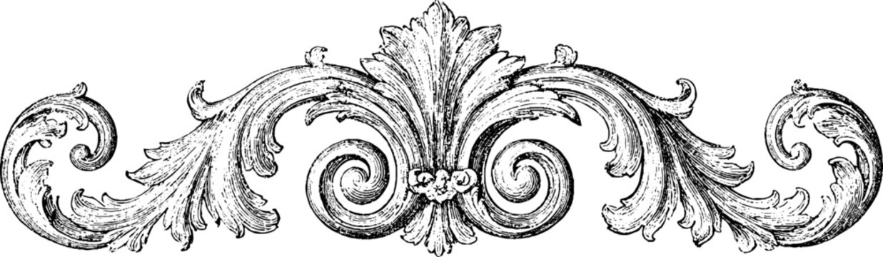 Ornamental rococo flourish border engraving with acanthus scrolls isolated on white for decorative divider and header design