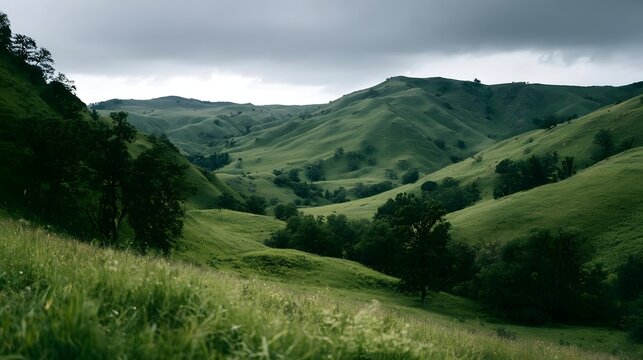 mountain landscape　山の風景 Mountain Landscape Trees Hillside Under Sky With Clouds Images