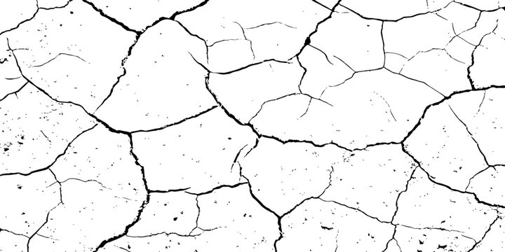 A high-contrast, black and white texture overlay of extensively cracked and distressed dry ground, featuring jagged, organic fissures and subtle granular details against a stark white background.