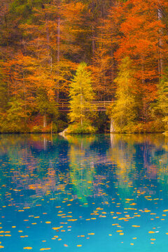 Vertical photo. Blue lake and autumn forest. Reflections on the water surface. Incredible view of the mountain valley. Background, wallpaper, postcards.