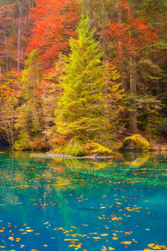 Vertical photo. Blue lake and autumn forest. Reflections on the water surface. Incredible view of the mountain valley. Background, wallpaper, postcards.