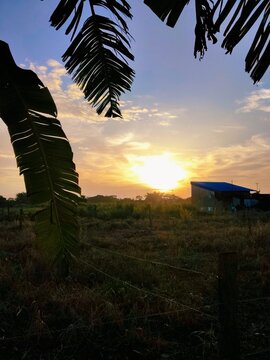 Amanecer en el llano