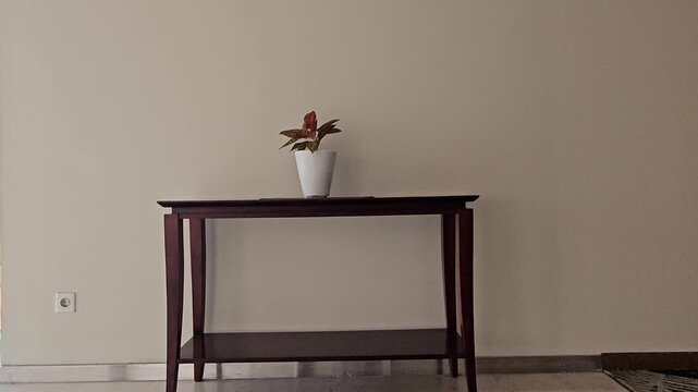 vintage tv and chairDark wood console table with lower shelf. White ceramic pot holds small leafy plant. Minimalist room with plain beige walls. Simple modern decor suitable for interiors