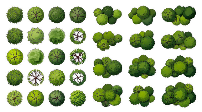 Top view trees collection vector isolated on transparent background, landscape architecture master plan symbol set, green canopy and forest tree top icons for site map design and urban planning render