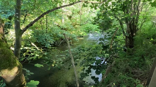 River North Esk flowing through woodland near Edinburgh, Midlothian, Scotland. Ambient water sound. 4K, 30fps