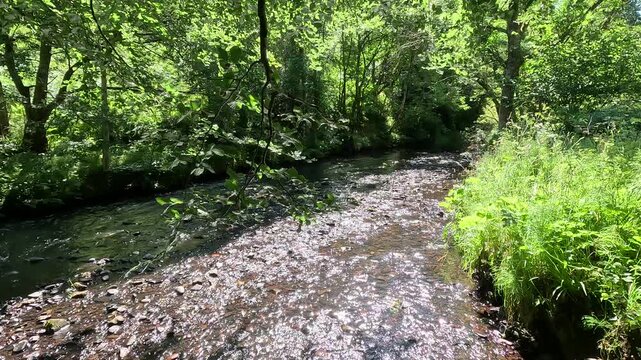 River North Esk flowing through woodland near Edinburgh, Midlothian, Scotland. Ambient water sound. 4K, 30fps.
