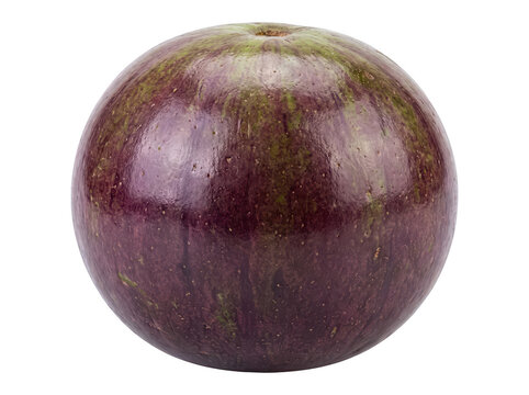 Single ripe purple star apple fruit a with tropical fruit exotic fruit whole fruit skin food photography cainito fruit raw food vitamin c fresh fruit as isolated element