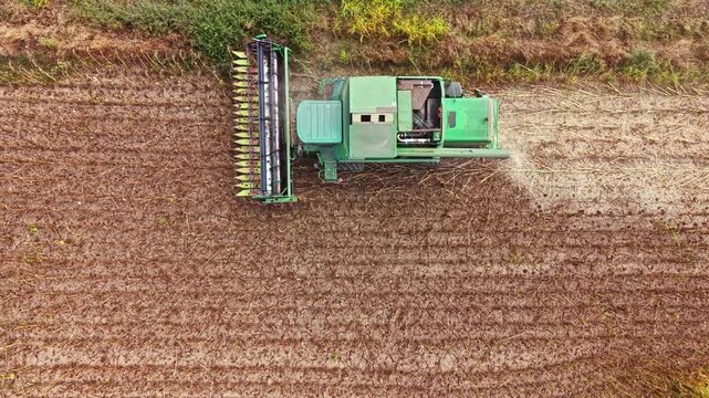 A green tractor works in a field, cutting and gathering crops. The ground shows furrows and the machine moves steadily along rows of harvested plants.