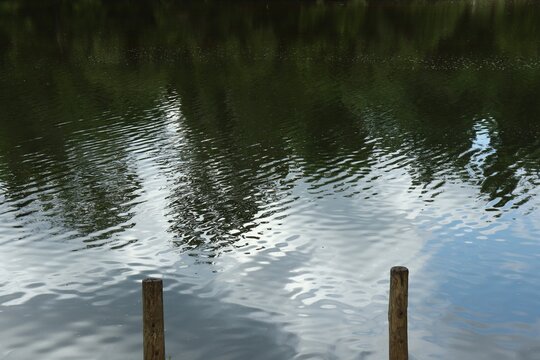 Trees reflected in the river water