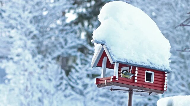 A flock of titmice feeds in a snowy birdhouse with a feeder in winter landscape