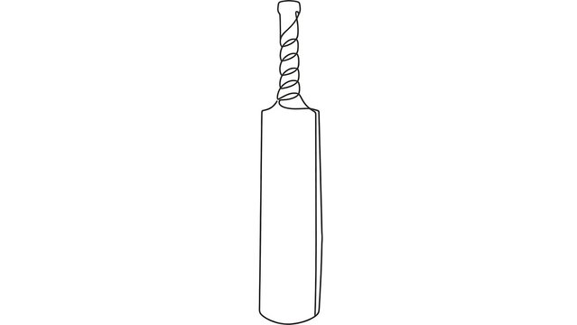 Cricket bat on white background.