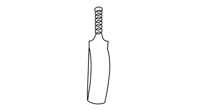 Cricket bat white background.