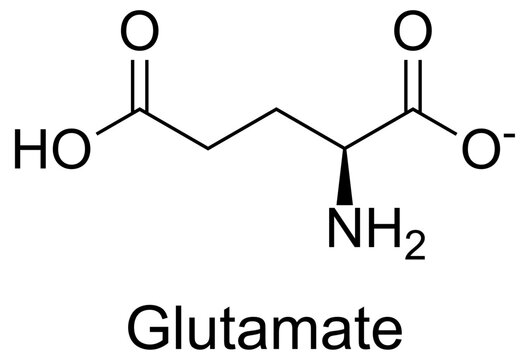 Vector illustration of Glutamate molecular structure and chemical formula. High-resolution, accurate scientific diagram ideal for dermatology, neurology, mental health, and educational infographics