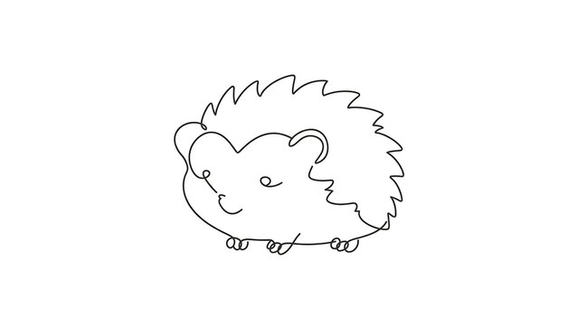 Cute hedgehog white background.