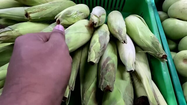 fresh vegetables on the market