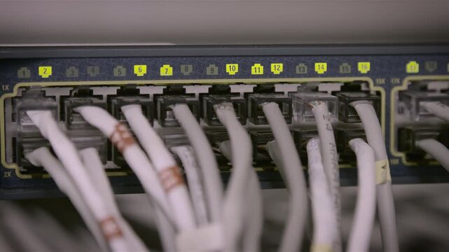 Close up of network switch ports with connected ethernet cables and blinking lights.